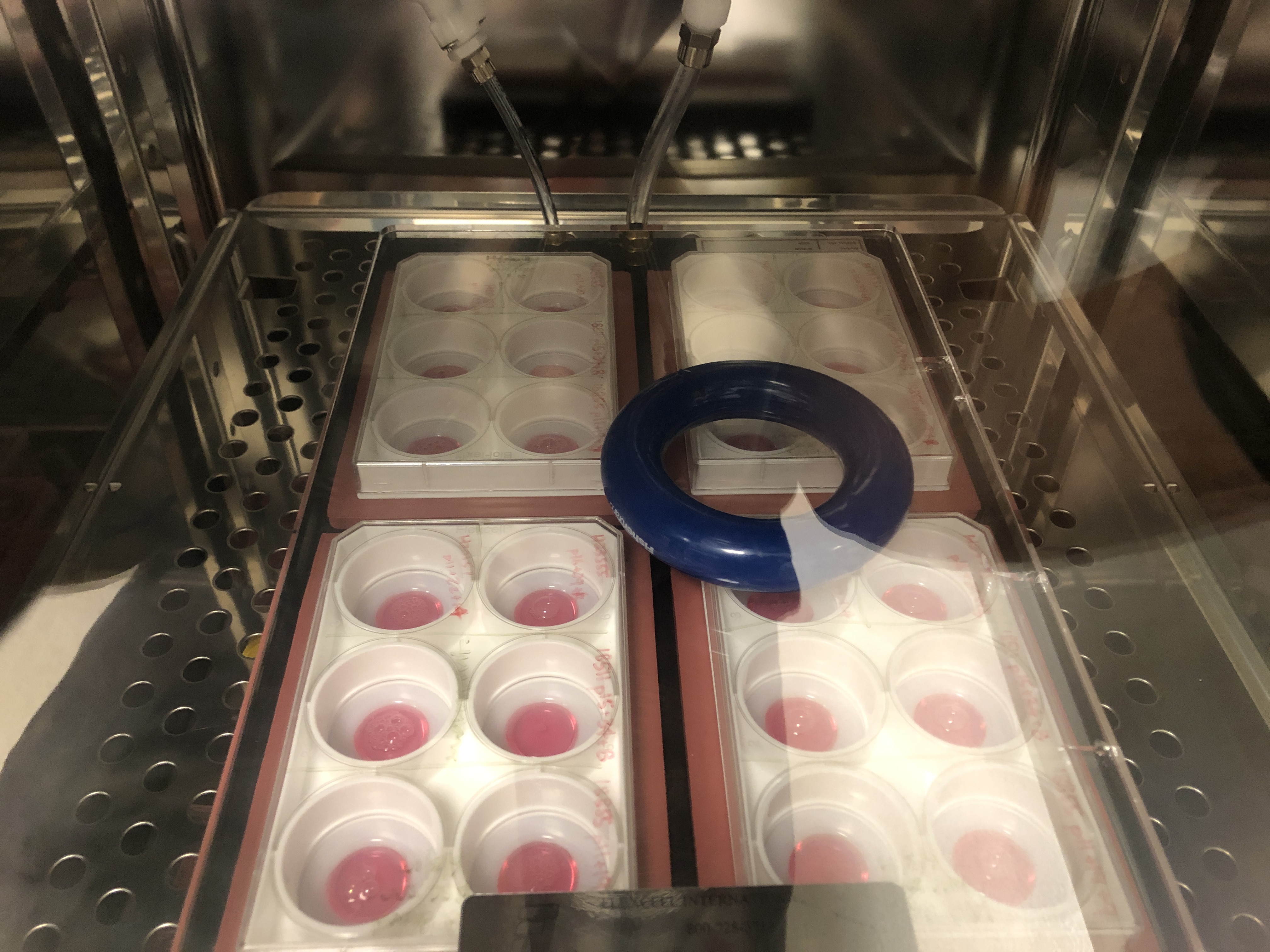 Anthony Hung Cell Culture Incubator