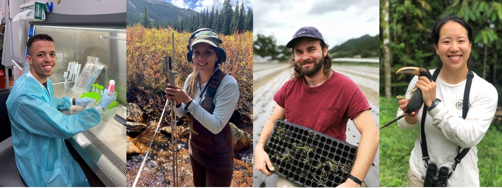 ARCS Scholars Austin Blackmon, Phoneix; Katarena Matos, Colorado; Evan Domsic, Seattle; Alison Ke, Northern California Collage of four ARCS Scholars at work