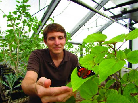 Dr. Will Haines with a Kamehameha Butterfly, courtesy University of Hawaii