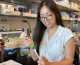 Katie C.Y. Lee at lab bench